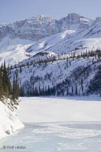 photo of Winter Landscape