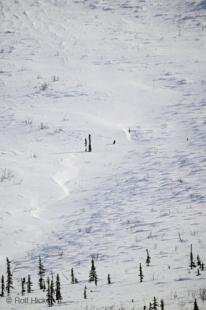 photo of Winter Scenery