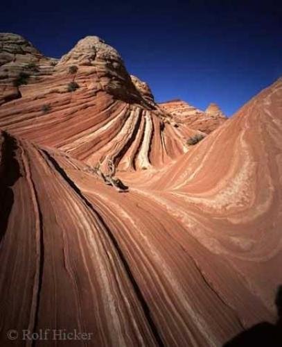 Photo: 
Arizona Pictures