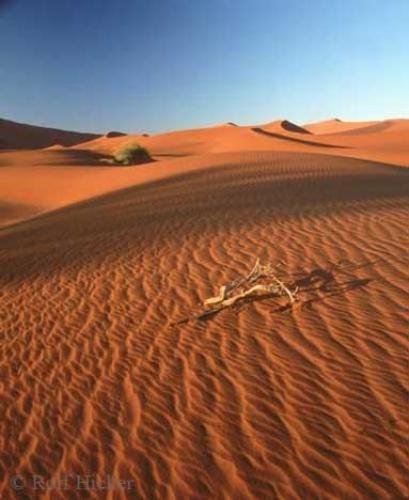 Photo: 
Namib Desert Africa Vacation