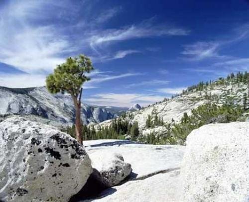 Photo: 
yosemite national park