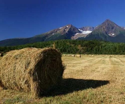 Photo: 
Hudson Bay Mountain