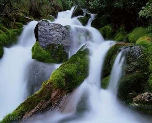Photo: 
ad 29545n
