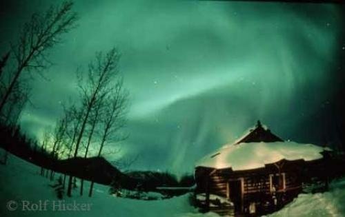 Photo: 
Family Vacation Log Cabin