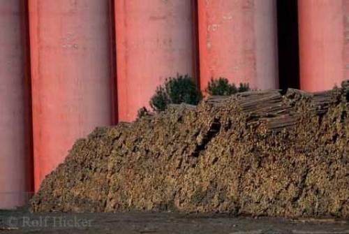 Photo: 
Ontario Forest Industry
