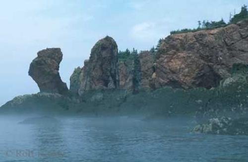 Photo: 
Bay Of Fundy Cape Chignecto