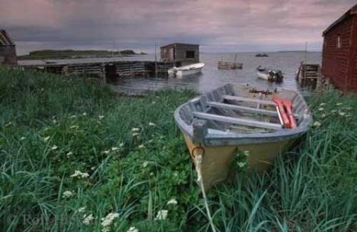 Photo: 
Newfoundland Photos