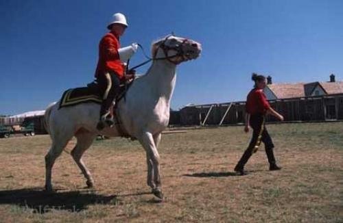 Photo: 
fort calgary historic park