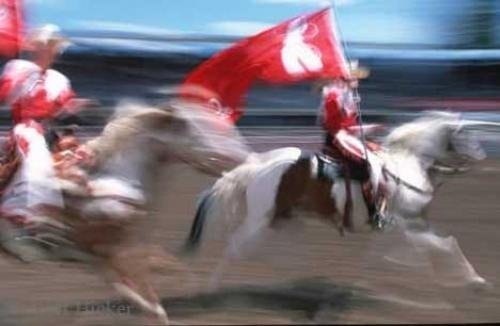 Photo: 
Calgary Stampede Riders