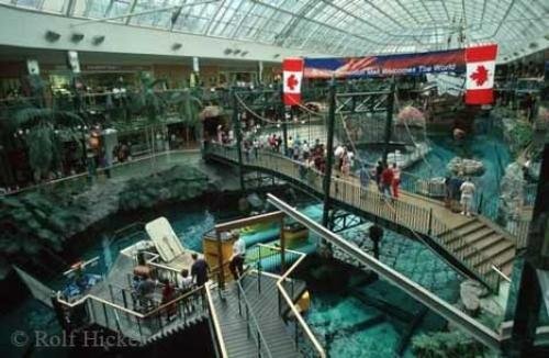 Photo: 
edmonton mall