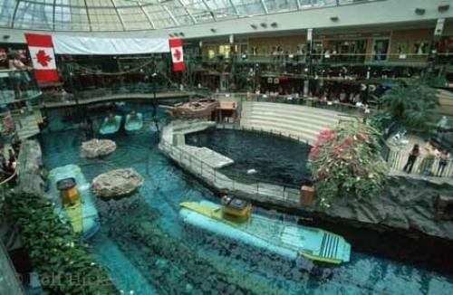 Photo: 
tourist attraction edmonton