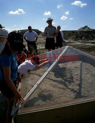 Photo: 
ad 42410n