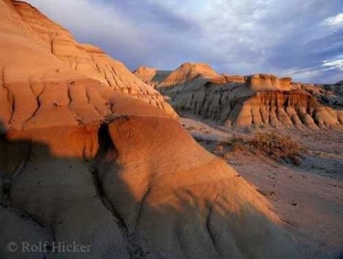 Photo: 
Dinosaur Park Sand Stone Formations