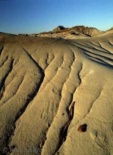 Photo: 
Dinosaur Provincial Park