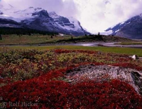 Photo: 
Icefield Parkway Vacations