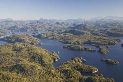 Photo: 
Aerial Photograph