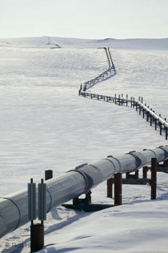 Photo: 
alaska pipeline