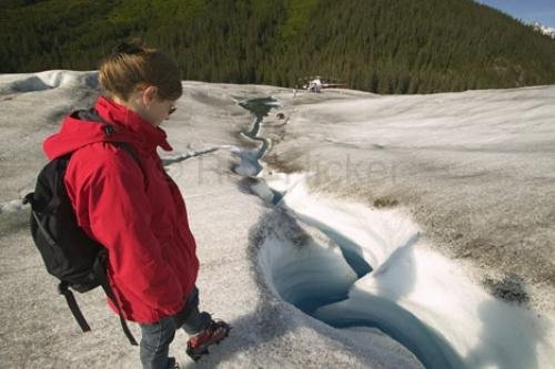 Photo: 
Glacier And Bear Tours