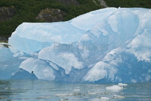 Photo: 
glacier tour alaska