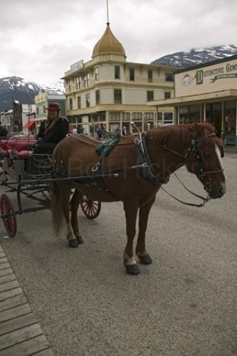 Photo: 
buggy tours skagway