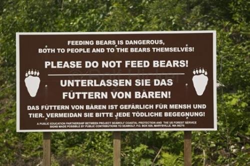 Photo: 
bear sign