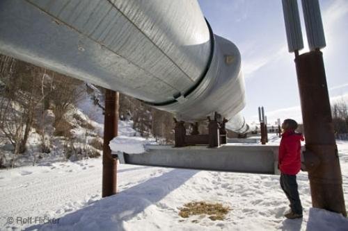 Photo: 
Tourist looking at Alaska Oil Pipeline