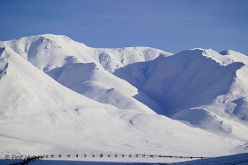 Photo: 
Alaska Piepeline