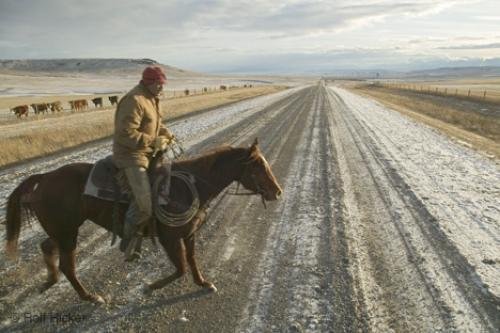 Photo: 
Alberta Horserider