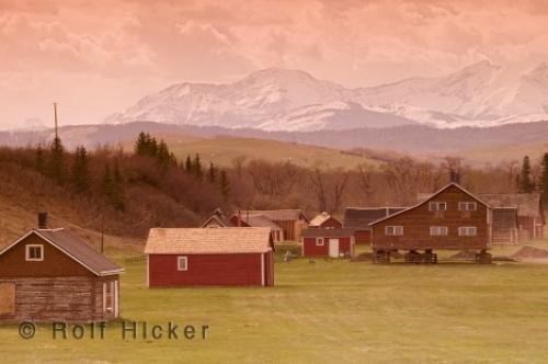 Photo: 
alberta ranch