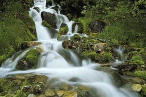 Photo: 
alberta waterfall