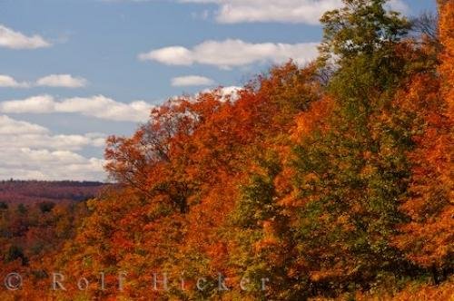 Photo: 
Algonquin Provincial Park Fall Shades
