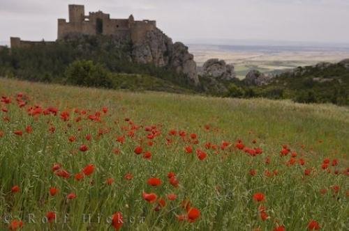 Photo: 
Ancient Castle Aragon