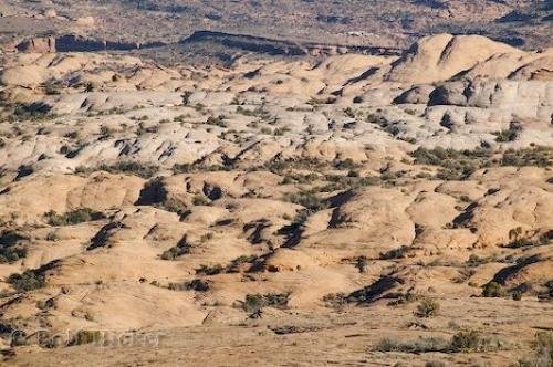 Photo: 
ancient dunes