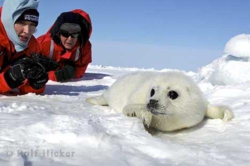 Photo: 
Animal Lovers