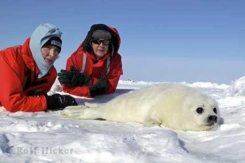Photo: 
Animal Rescue