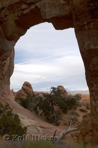 Photo: 
Arches National Park Pine Tree Arch