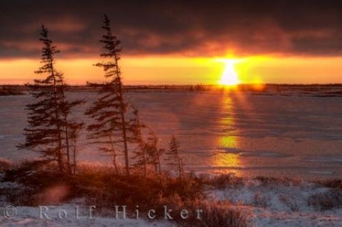 Photo: 
Arctic Tundra Sunset Photo Churchill Canada