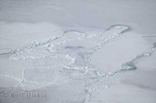 Photo: 
arctic ice pattern
