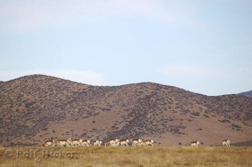 Photo: 
Arizona Desert USA