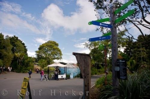 Photo: 
Auckland Zoo Adventure