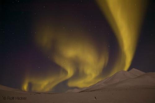 Photo: 
Aurora Borealis Winter Landscape Photos