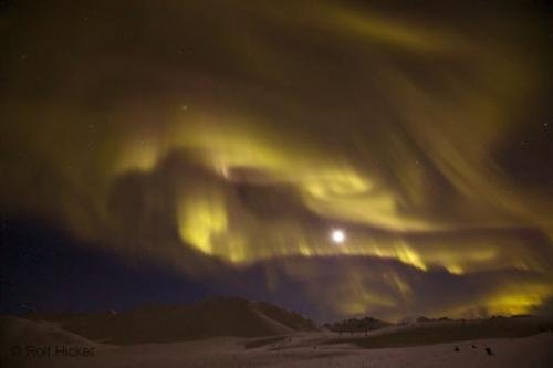 Photo: 
Arctic Winter Aurora Borealis Vacations