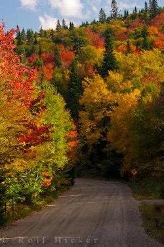 Photo: 
Autumn Highway Parc National Du Mont Tremblant Quebec