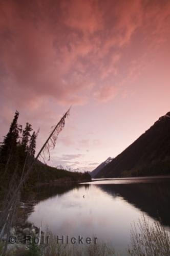 Photo: 
bc fishing