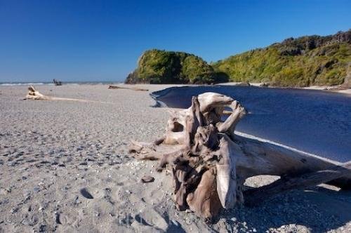 Photo: 
Beach Driftwood Ship Creek New Zealand