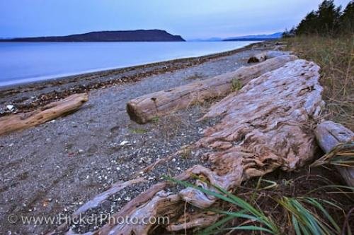 Photo: 
Beach Scenery Picture Denman Island British Columbia