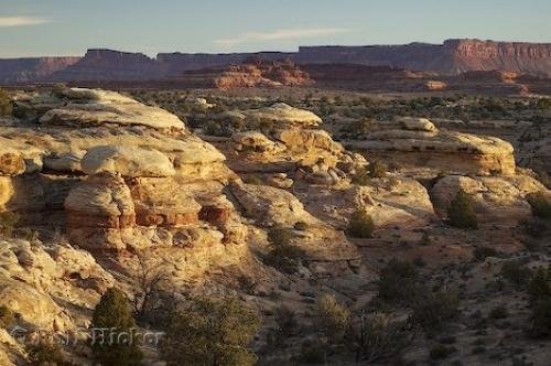 Photo: 
big spring canyon over look