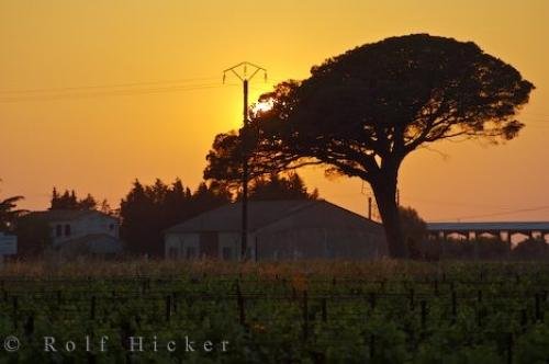 Photo: 
Bouches Du Rhone Sunset