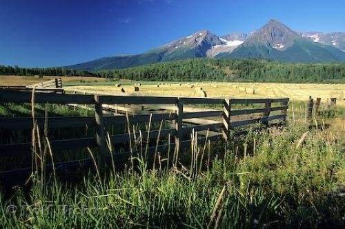 Photo: 
Bulkley Valley