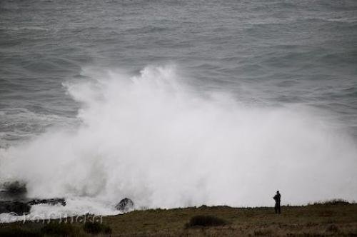 Photo: 
California Coast Photos